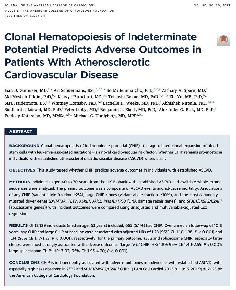 Our new paper in @JACCJournals #JACC led by @esradgumuser + @artschuermans examines the relevance of clonal hematopoiesis of indeterminate potential (CHIP) 🩸🧬 in indivs w/ established ASCVD jacc.org/doi/10.1016/j.… Short thread 👇 (1/6)