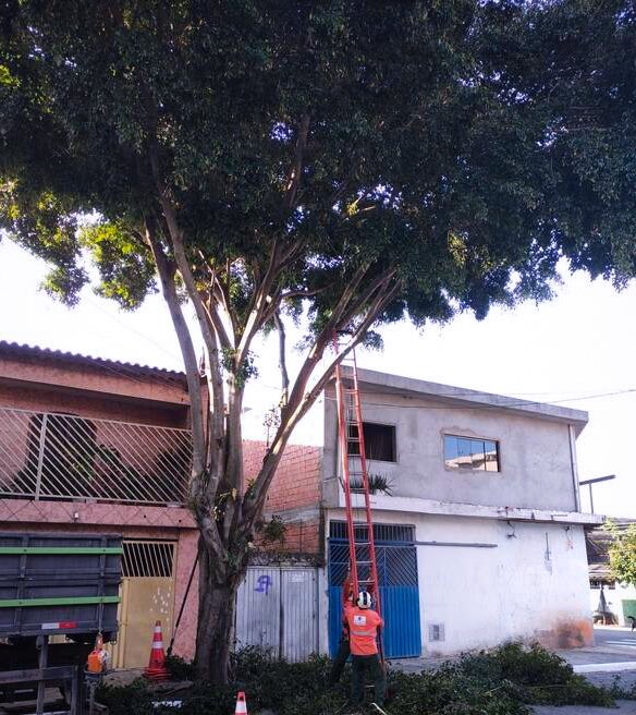 subitaim's tweet photo. SUB EM MOVIMENTO 
nesta ocasião, foram executados os serviços de: Poda de Árvore e Reforma de Aparelho.

Confira os locais abaixo.👇

- Rua Cipó do Reino – Vila Curuçá 

- Rua Jaguaraba – Vila Curuçá 

- Rua Gaivão  - Vila Nova Curuçá 

#ItaimPaulista #VilaCuruçá #zeladoria https://t.co/PIaCVQB30W