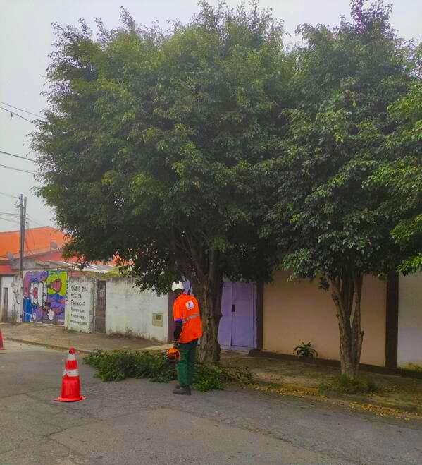subitaim's tweet photo. SUB EM MOVIMENTO 
nesta ocasião, foram executados os serviços de: Poda de Árvore e Reforma de Aparelho.

Confira os locais abaixo.👇

- Rua Cipó do Reino – Vila Curuçá 

- Rua Jaguaraba – Vila Curuçá 

- Rua Gaivão  - Vila Nova Curuçá 

#ItaimPaulista #VilaCuruçá #zeladoria https://t.co/PIaCVQB30W