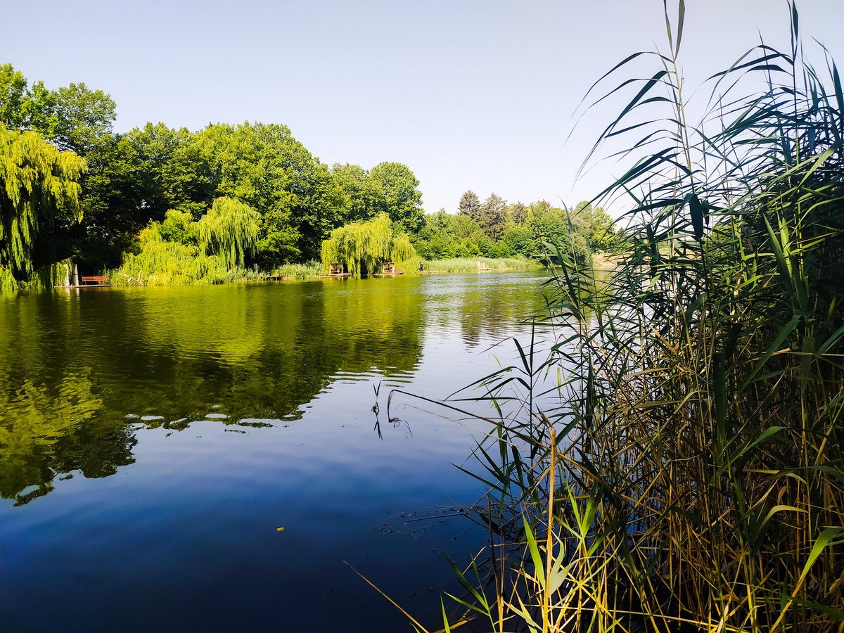 SyrenSky69's tweet photo. The highlight of my day today
#Beautyful #natural #River #green #SPRiNG #FishingGirls #trees #sunshine https://t.co/5YUHT50Pzh