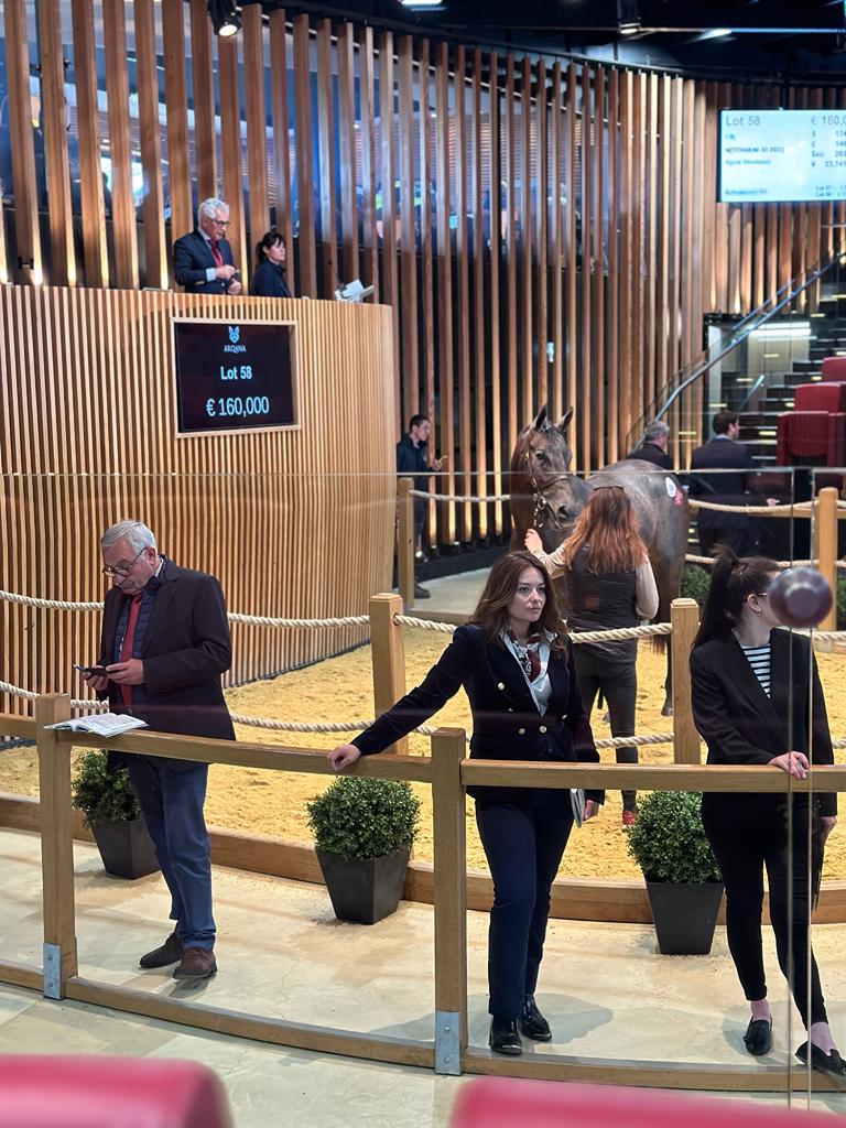 I feel blessed to be working with so many great people around the world!! 🌎 Congratulations to <a href="/bloodst_aguiar/">Aguiar Bloodstock</a> on a great sale and phenomenal job preparing this Cairo Prince filly!! 👏 Best of luck to <a href="/dredvers/">David Redvers</a> and the new connections! There's no doubt she is in phenomenal