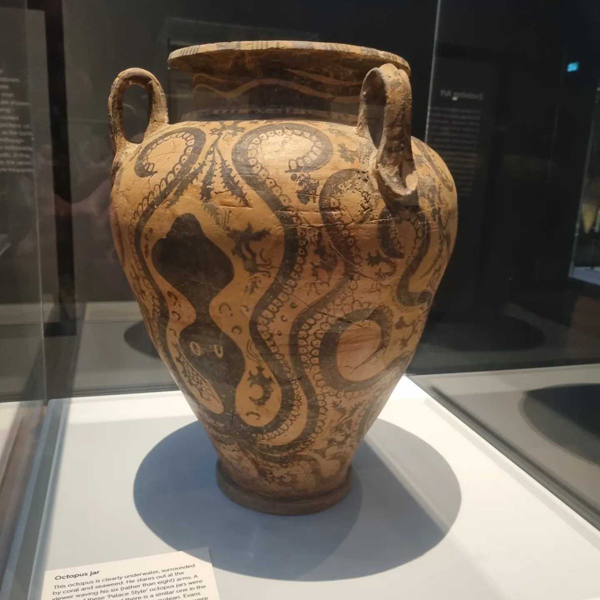 Ancient History Hit on Twitter "Ancients Podcast! Knossos, with Dr