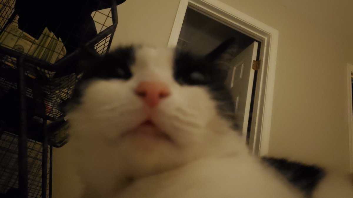 okay_connie's tweet image. #freemapmonday