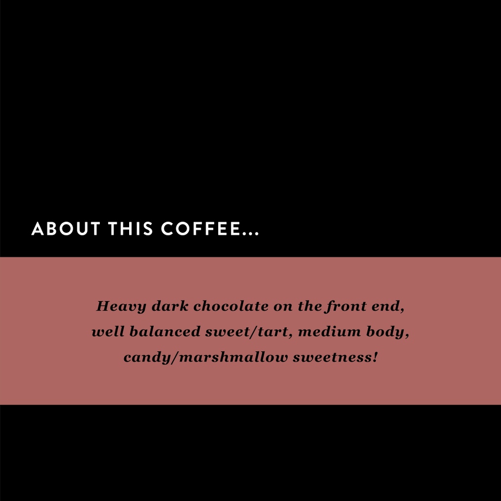 PressCoffee's tweet photo. New Coffee Release: Zambia NCCL🍎🍫🍒⁠
⁠
With notes of Dark Chocolate, Berry Tart, Bing Cherry, and Red Apple, we are sure you will like the Zambia NCCL if you are a fan of equally tart and smooth medium-bodied brews.
⁠
https://t.co/VzUVkhPHYN https://t.co/6uNJPURPWr