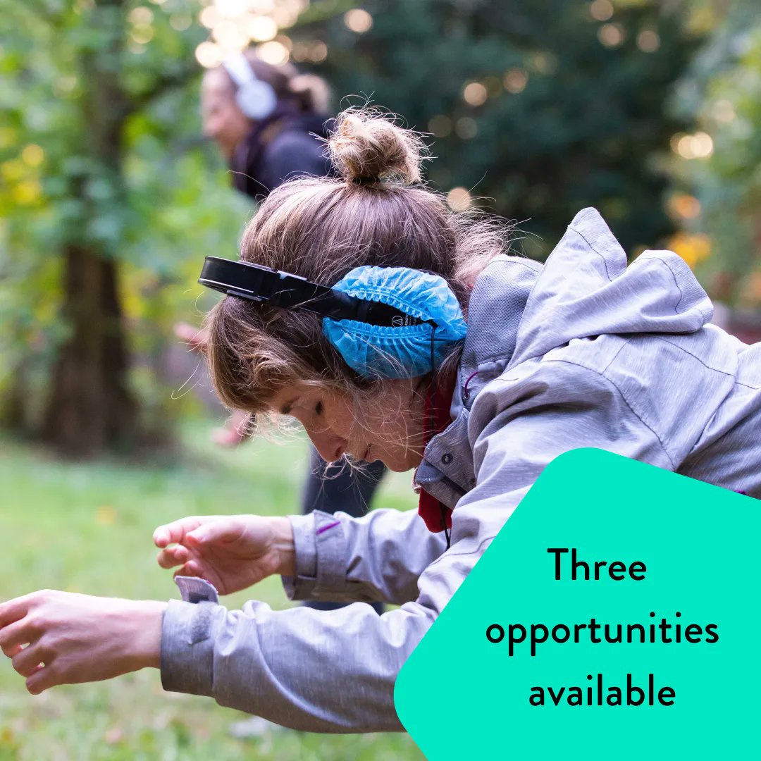 Yorkshire Dance tweet media