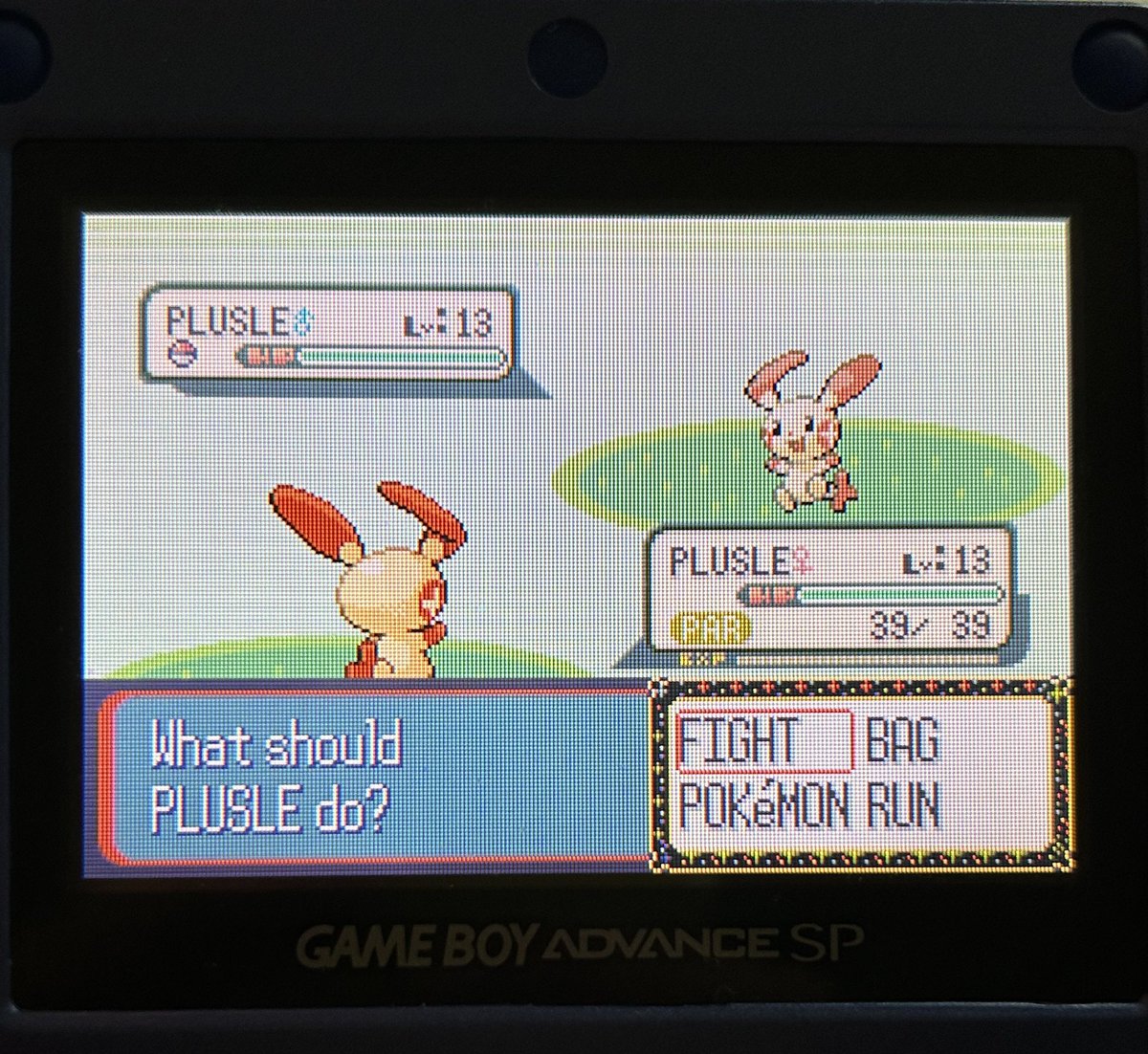 shiny plusle on my sapphire dtq! got this after ~4k encounters (a very very rough estimation) 

this is phase 1 for electrike but i’m very pleased with the outcome 🥰✨