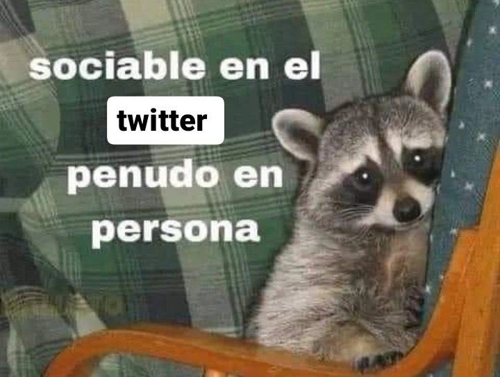 zoe ⊬ tweet media