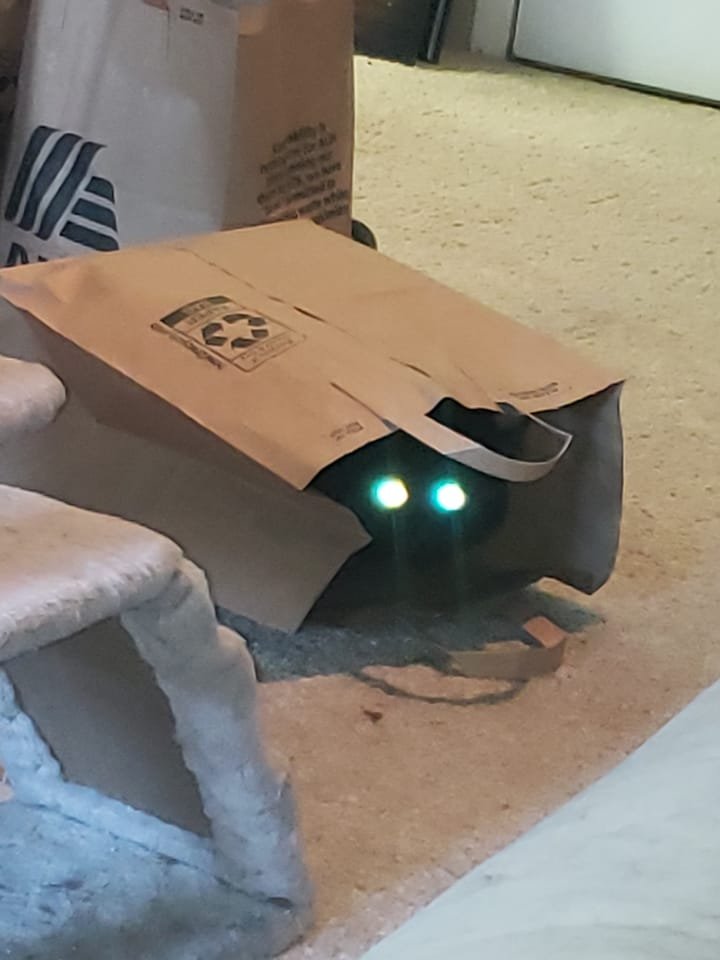 Thereisnocat_'s tweet photo. https://t.co/xQ86hZh9HF