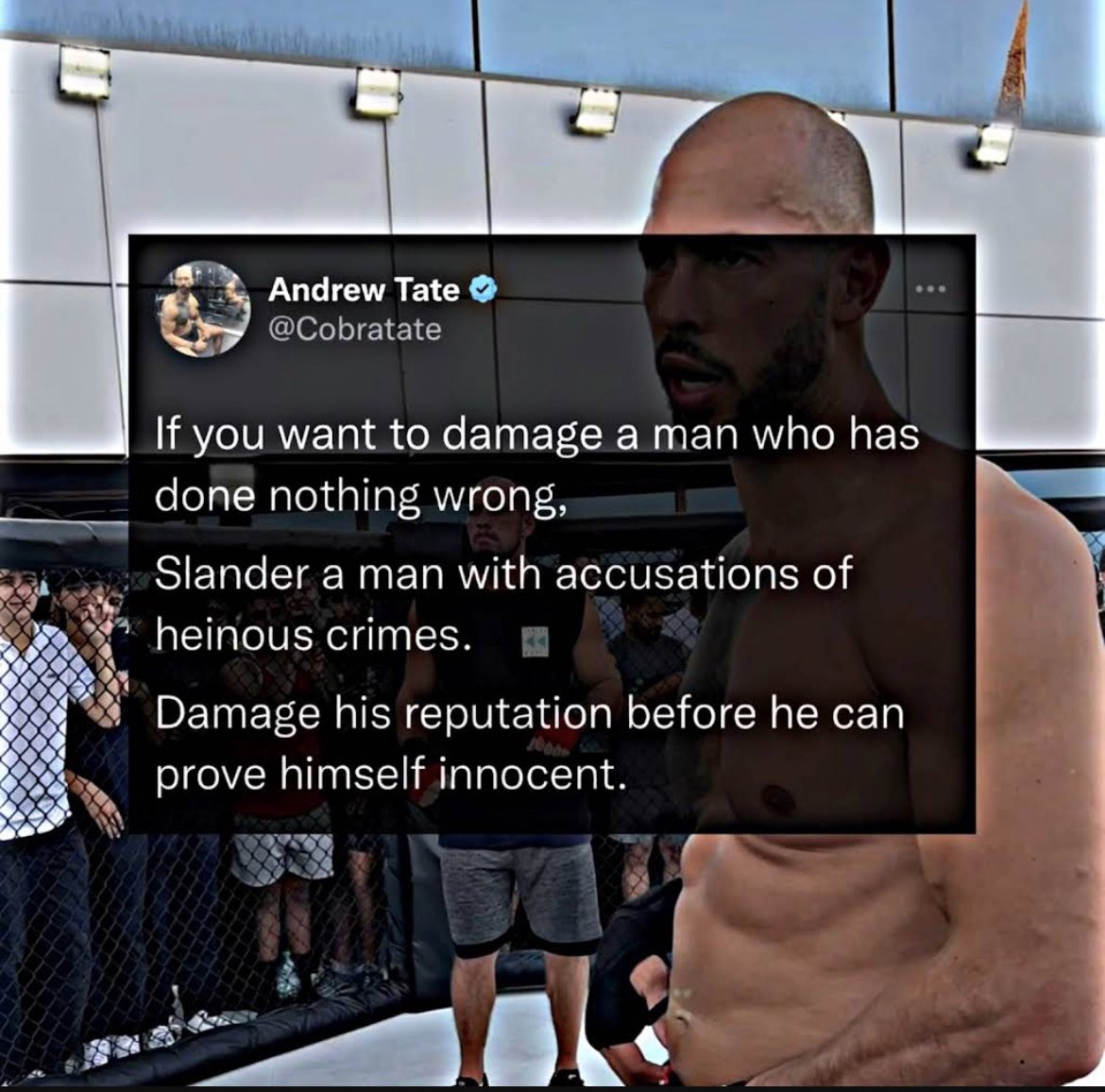 Tate_Modern tweet media