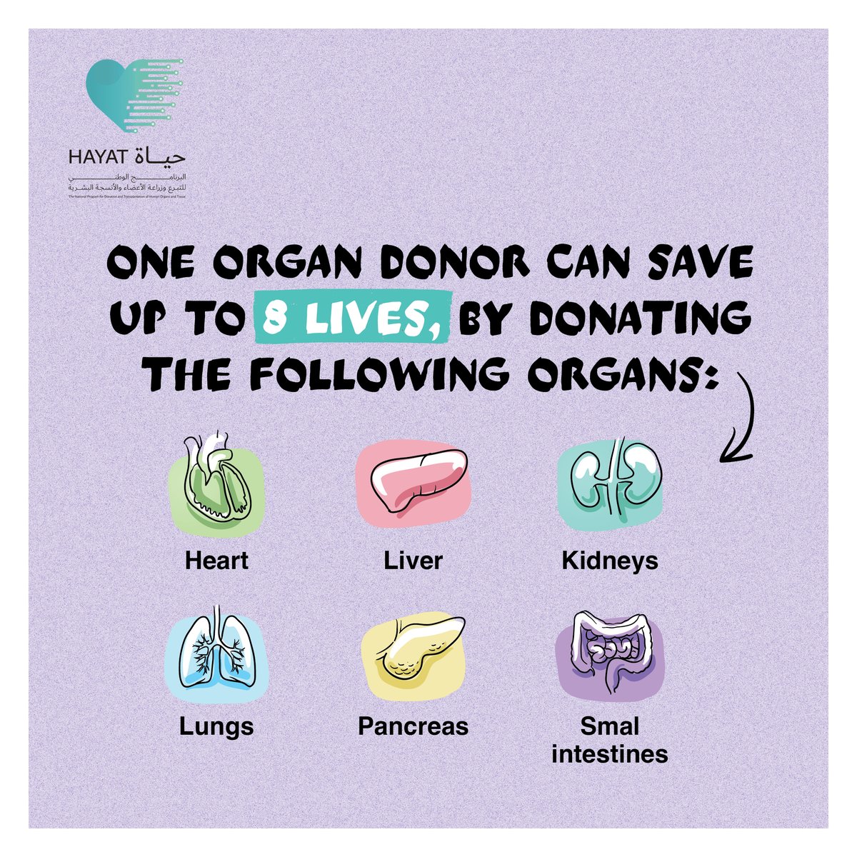 GiftOfLifeAD's tweet photo. According to the UAE law, living donation is limited between relatives up to the fourth degree, and for postmortem donors, organs are retrieved and transplanted to those who suffer from organ failure. Here are the 6 organs you can choose to donate! https://t.co/Wf5Q42z4Zo