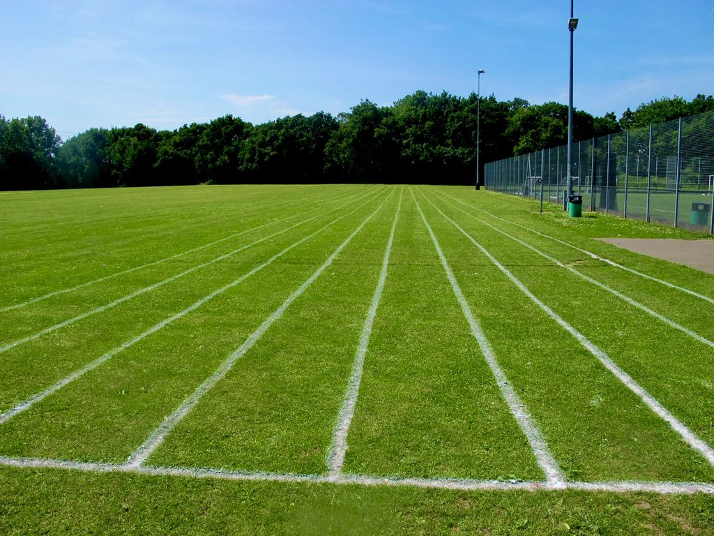 Toynbee Sch PE Dept tweet media