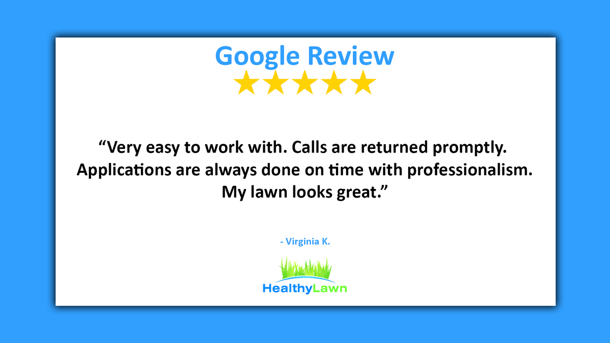 So happy to hear about your lawn. Thank you for the great review Virginia.
#healthylawn #landscaping #lawncare