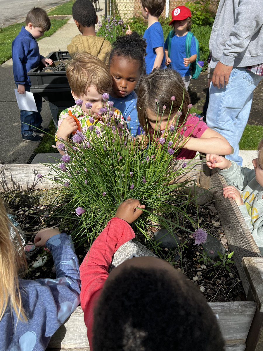 FrielJuliette's tweet photo. Thank you @oakparklibrary for hosting the early childhood program at Maze today- they loved it. @OakPark97 https://t.co/am9TXOhIlC