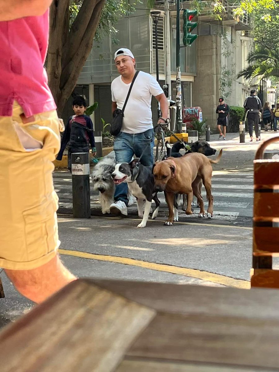 animalipeludos's tweet photo. Por favor hagámoslo viral.🐶🙏🥺 SI ESTOS SON TUS MASCOTAS , ESTE TIPO LOS RECOGE Y VIENE A GUARDARLOS A UN CUARTO NO LOS PASEA Y LUEGO LOS SACA Y ENTREGA #condesadf #condesa #parquemexico COMPARTE ESTA PUBLICACIÓN @mascotasroma @VidaCondesa @RomaCondsaQueja @taxianimalista https://t.co/cLEyrZWWae