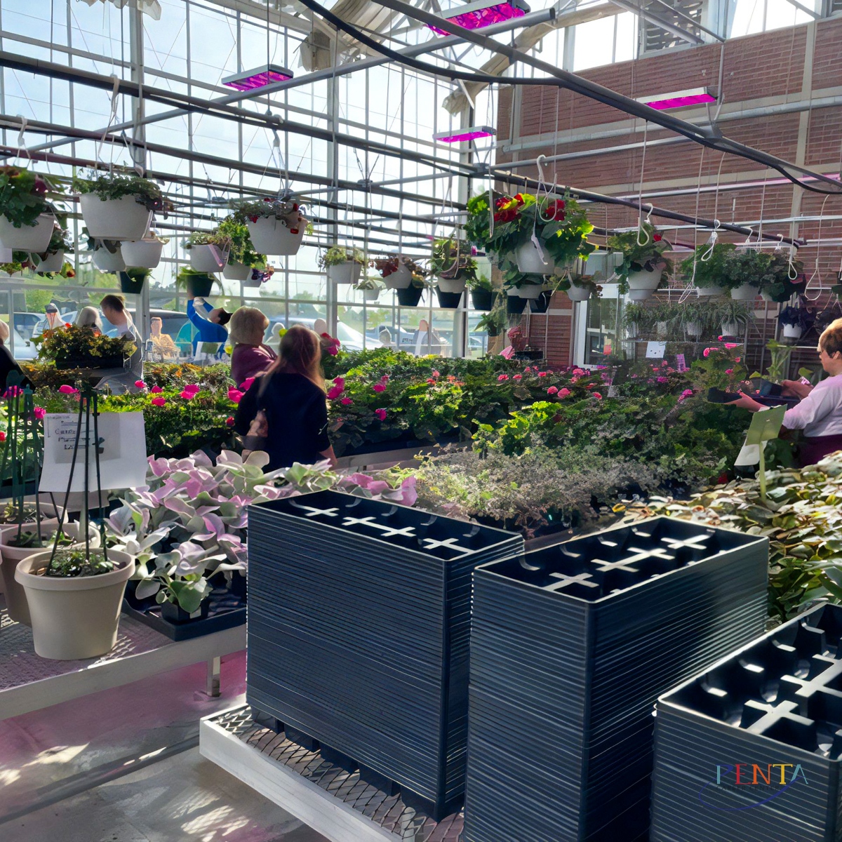 Penta Career Center on Twitter "🌿🌺 Our annual plant sale was a huge