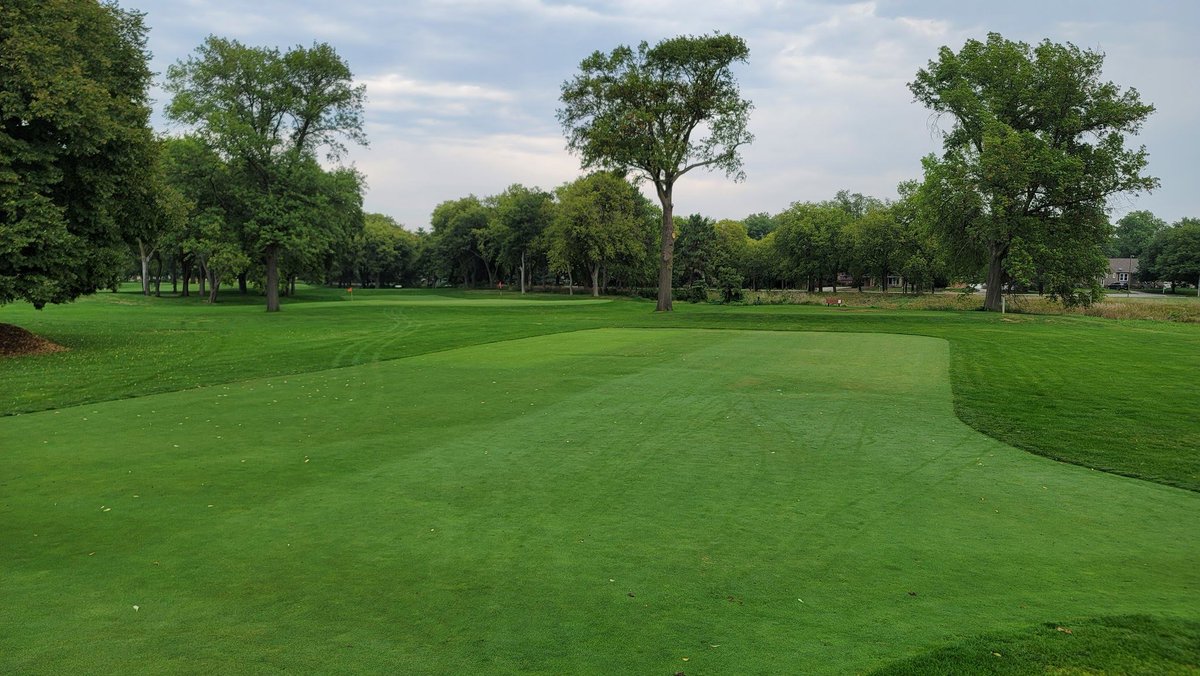PGRBill's tweet photo. @NufarmUSTurf It's not hard to see where the Anuew wasn't being applied to this bentgrass fairway. This is after a season of Anuew at 8 oz/acre every 350 GDD (base 0C). https://t.co/lEZU2YiZkv