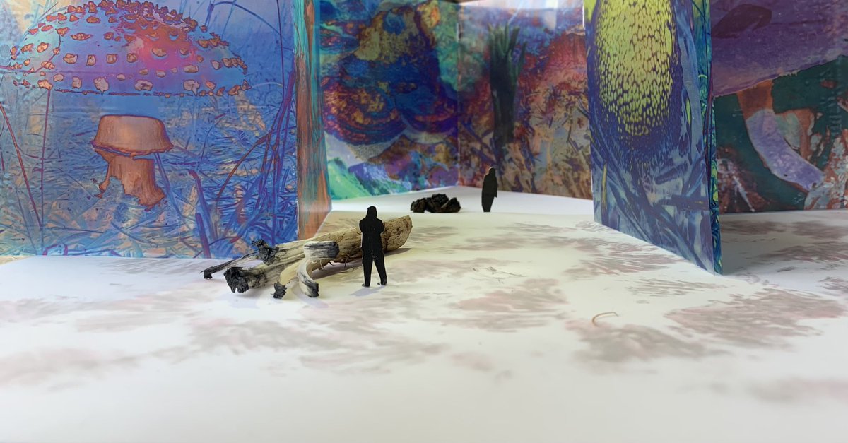 Clarartsss's tweet photo. Scénographie d’une expo sur la bioremediation à partir de mes photos de champi modifiées 🍄🍃 https://t.co/EKpiZIk34d