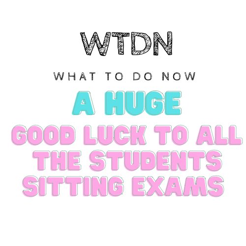 What To Do Now tweet media