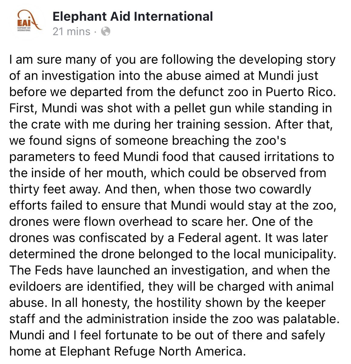 ValeriaCollazoC's tweet photo. En intentos fallidos por evitar traslado de Mundi, le dispararon con perdigones, le dieron comida que le causó irritación y volaron 2 drones sobre ella. Según @ElephantAidIntl, agentes federales incautaron uno de los drones y determinaron que pertenece al municipio de Mayagüez. https://t.co/g2QHEn7hLE