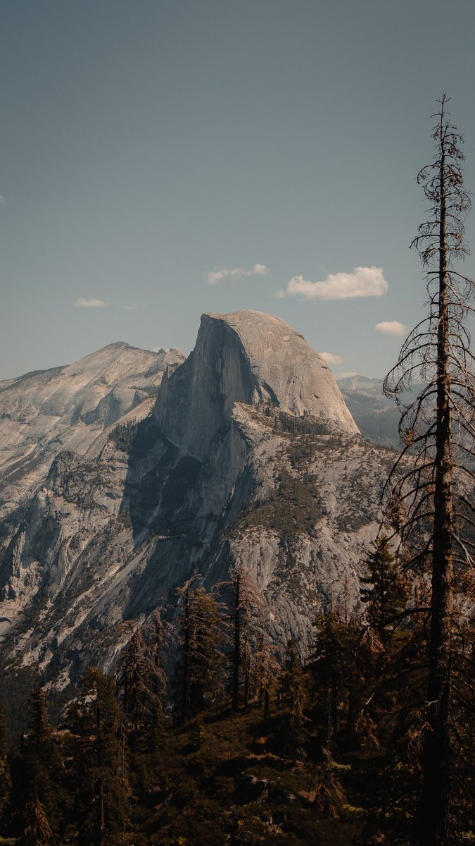 Oli Arlart tweet media