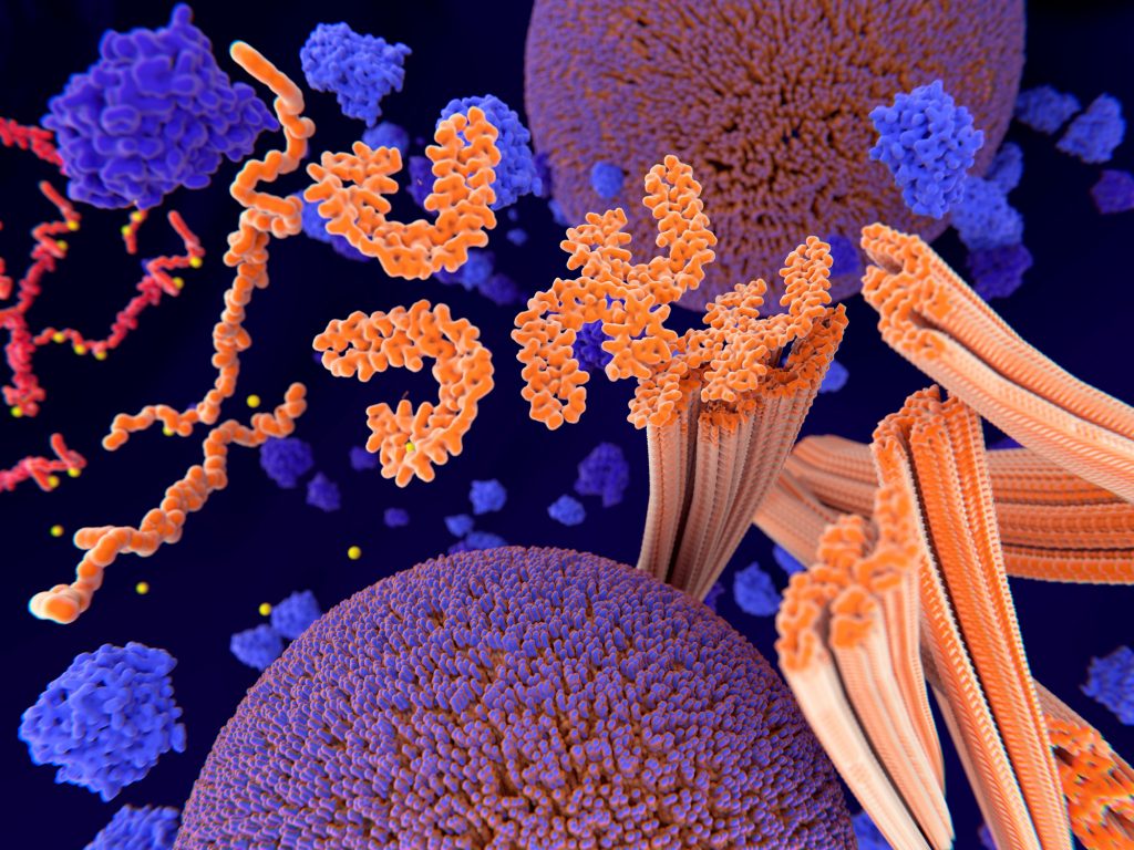 Inside_PM's tweet photo. An international team of investigators led by researchers from @MassGeneralNews and @MassEyeAndEar has identified, in a single patient, a new #geneticvariant that is protective against the development of #Alzheimersdisease (AD). Learn more: https://t.co/J7dqxOnMbK https://t.co/yTgbk8YtqU