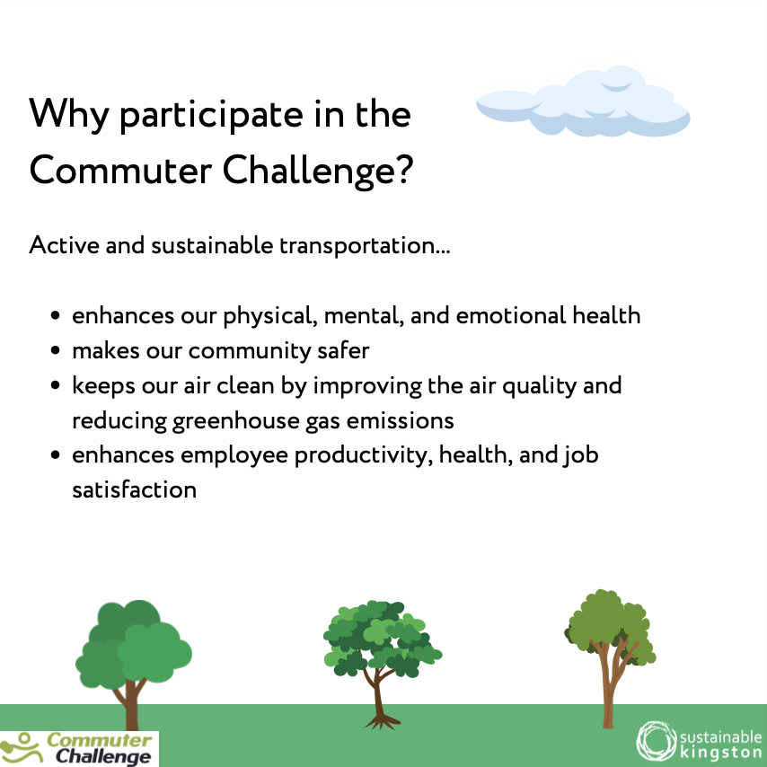 Sustainable Kingston tweet media