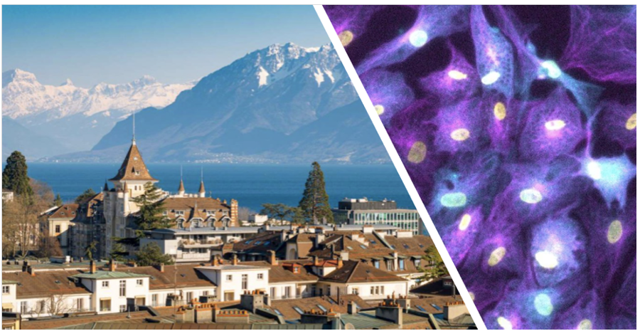 We're hiring for TWO exciting positions in Tumour Tissue Engineering: a PhD and Postdoc. 🔬 Join the Habib Lab in Lausanne! Apply now to make a life-changing impact! 💪 Postdoc: shorturl.at/iozGL PhD: shorturl.at/uxMUZ