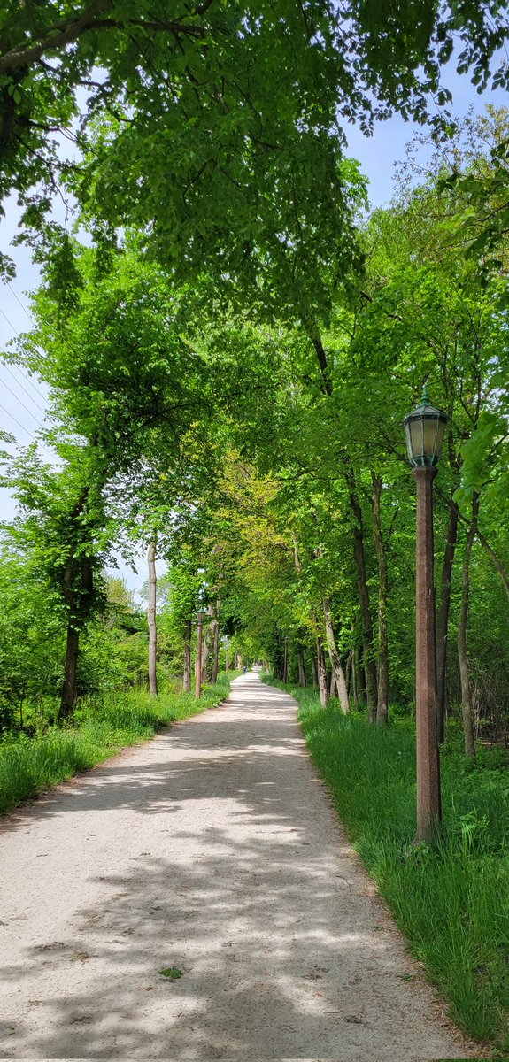LynnKrizic's tweet photo. Running while recovering from bronchitis isn't exactly fun. But a few miles is better than no miles! #runchat #running #runningchangeseverything #prairiepath #thisis67 https://t.co/KxbX46sC3i