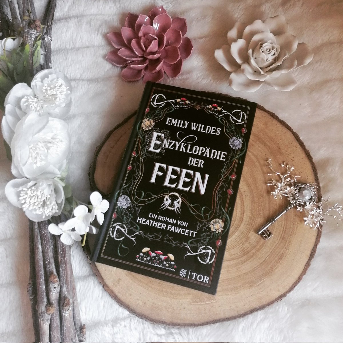 Letanna_Astrid's tweet photo. Ich starte jetzt mit diesem Buch. Offiziell erscheint es am 24.05.
Mich spricht es sehr an. Hoffe, es kann meine Erwartungen erfüllen

#currentlyreading #lesenmachtglücklich #emilywildesencyclopaediaoffaeries #heatherfawcett #fischertor https://t.co/K1MAtolTXU