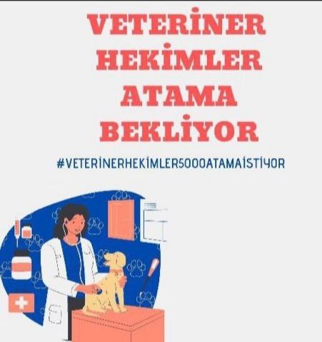 Tarım orman bakanlığı ataması nerede, bizleri unuttunuz  #VeterinerHekimler5000Atamaİstiyor