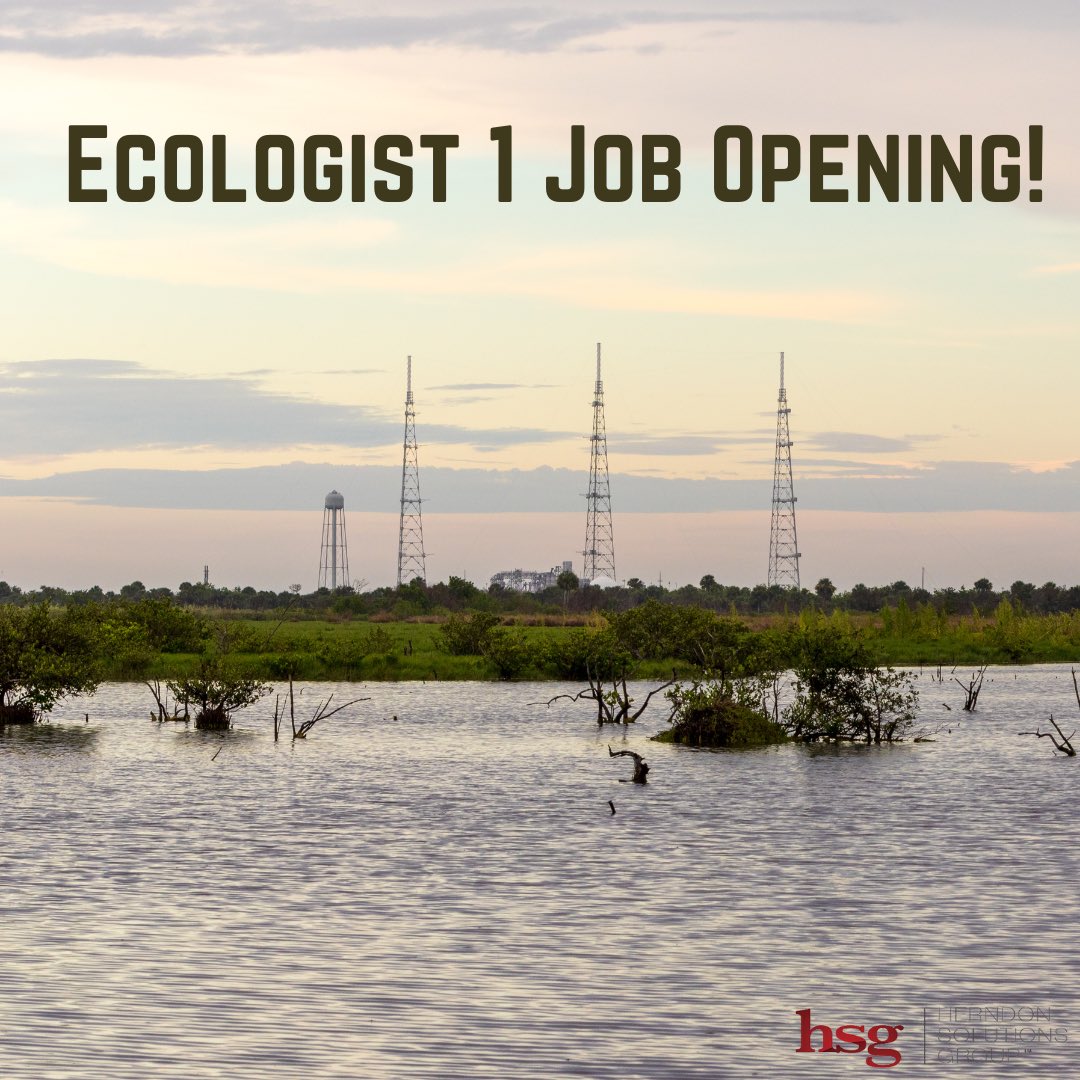 FACT_Network's tweet photo. Job Opportunity!

HSG is hiring a field ecologist to support ecological monitoring at NASA’s Kennedy Space Center. Position duties include a broad range of aquatic and terrestrial projects including fish and sea turtle acoustic tagging studies and habitat assessments in FL’s IRL https://t.co/VTZCauIbYm