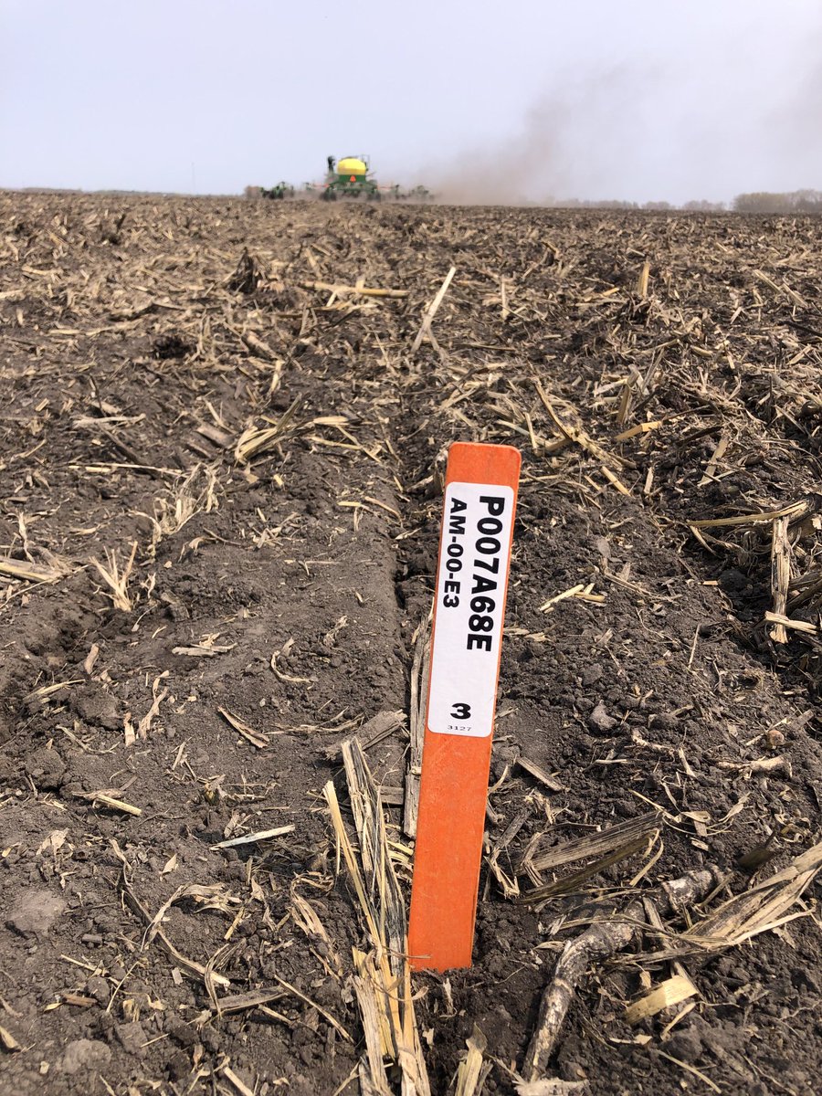 E3 soybean trial hitting the soil.  Glyphosate, 2-4D and glufosinate tolerant all in one package. ⁦<a href="/PioneerSeedsCA/">Pioneer Seeds Canada</a>⁩