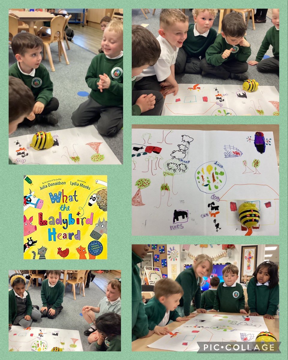 After reading #WhatTheLadybirdHeard Reception drew their own map, similar to the story. Using Beebots, we then instructed it to move around the map. We used vocabulary like forwards, backwards, turn, left and right. @StJosephStBede #SJSBMaths #SJSBComputing