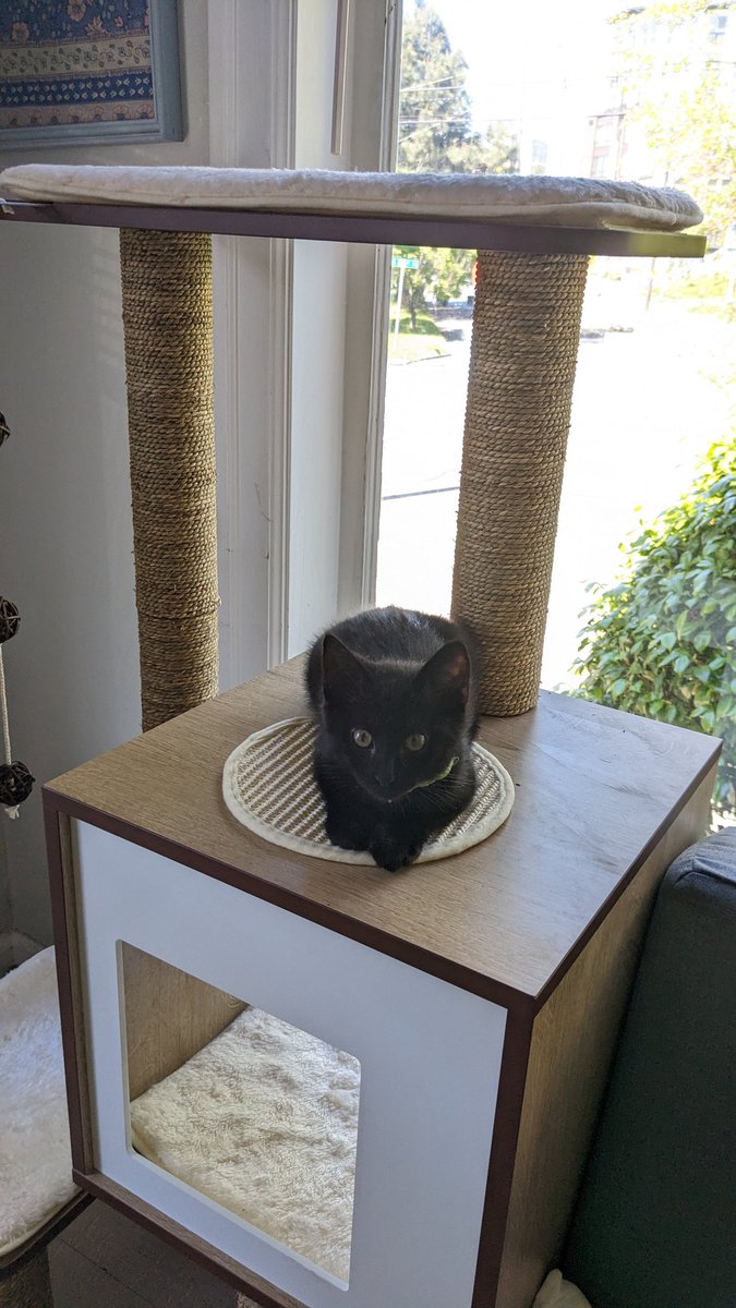 elliott (@stopthetapedude) on Twitter photo 