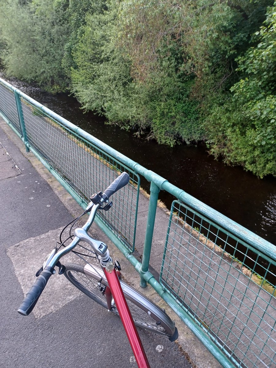 Kingfisher watch on the way home from dance class, possible thanks to my lovely rothar. #BikeWeek2023 #CycleDublin 
(Kingfishers spotted: 0)