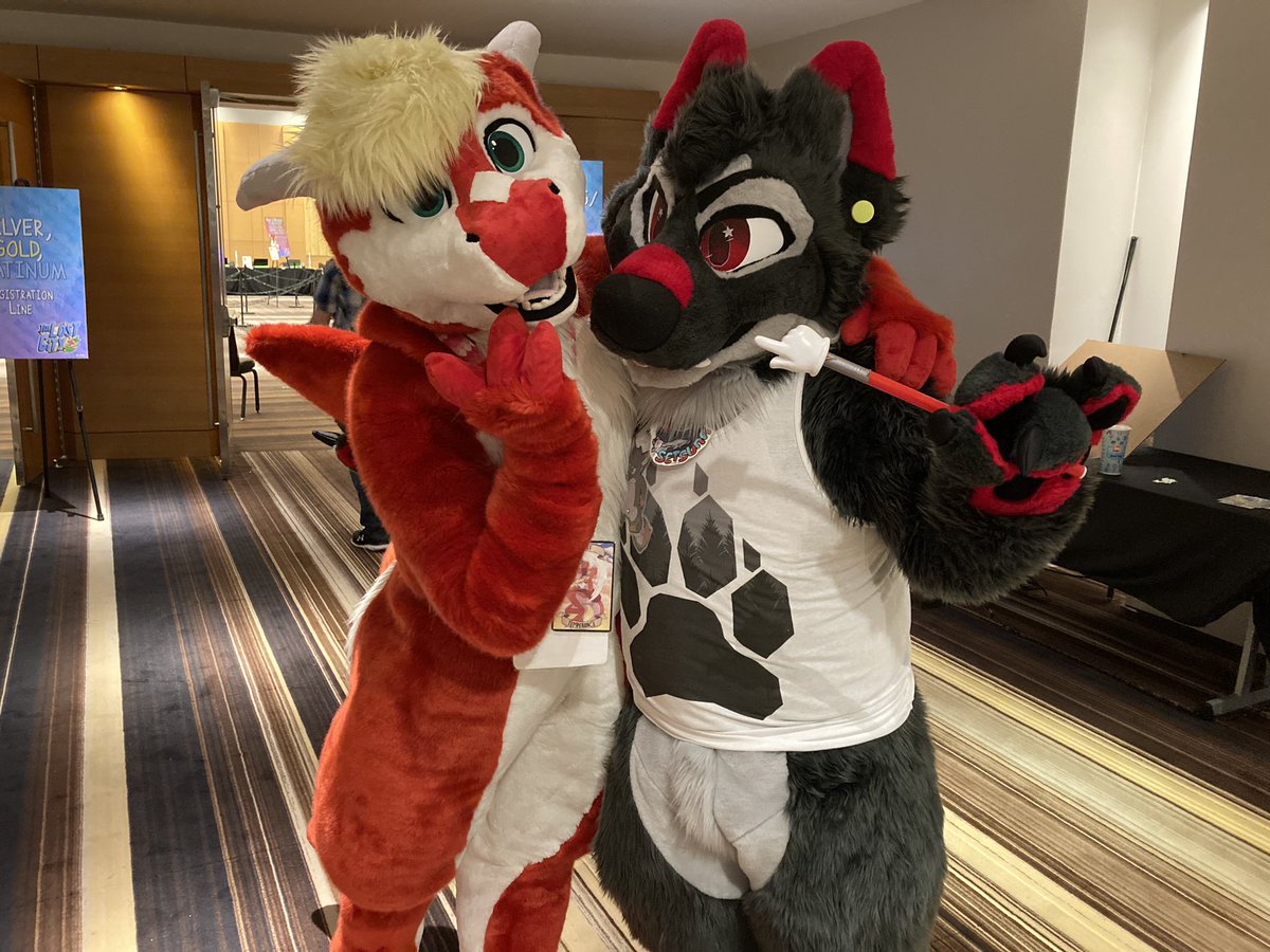 Goldenpelt's tweet photo. (@CinderCollie with his beloved ketchup 🤭) https://t.co/tTuqxd5hO2