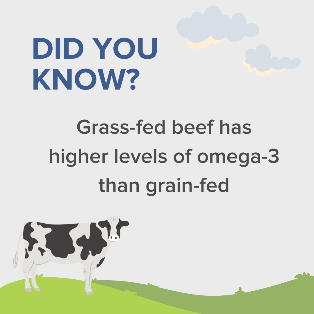 WellnessVerge's tweet photo. That's because conventionally-farmed #cows are grain-fed and often raised with #antibiotics and #hormones.

#grass is a more #natural diet that may result in healthier cows and #beef with a more favorable fat profile that's richer in omega-3 #fattyacids.

#healthylifestyle #farm https://t.co/G7yg4H7C22