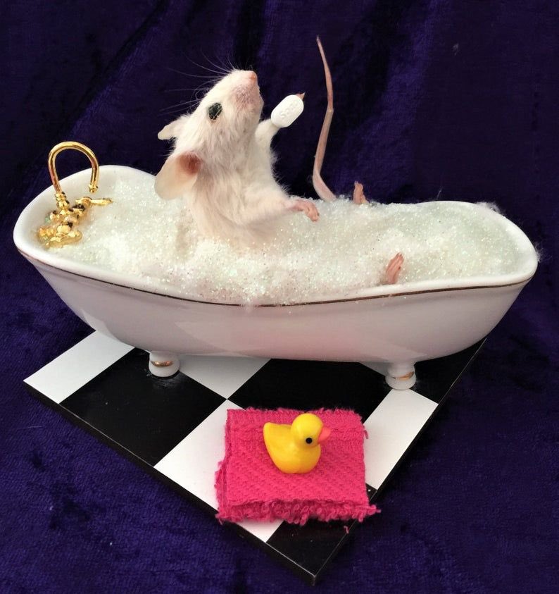 Sveinbjörn (@sveinbjorn9) on Twitter photo 