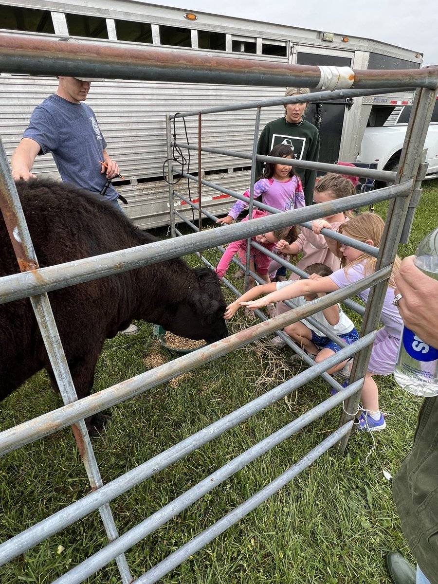 Amanda Ruyle tweet media