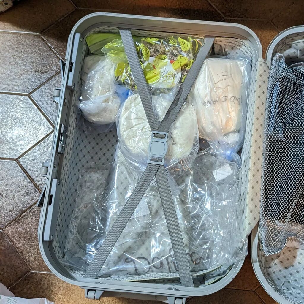 I know what it looks like officer, but the truth is my wife is into hardcore baking. instagr.am/p/CsRnkd1r4eK/