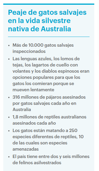 #EcologistaNoAnimalista tweet media