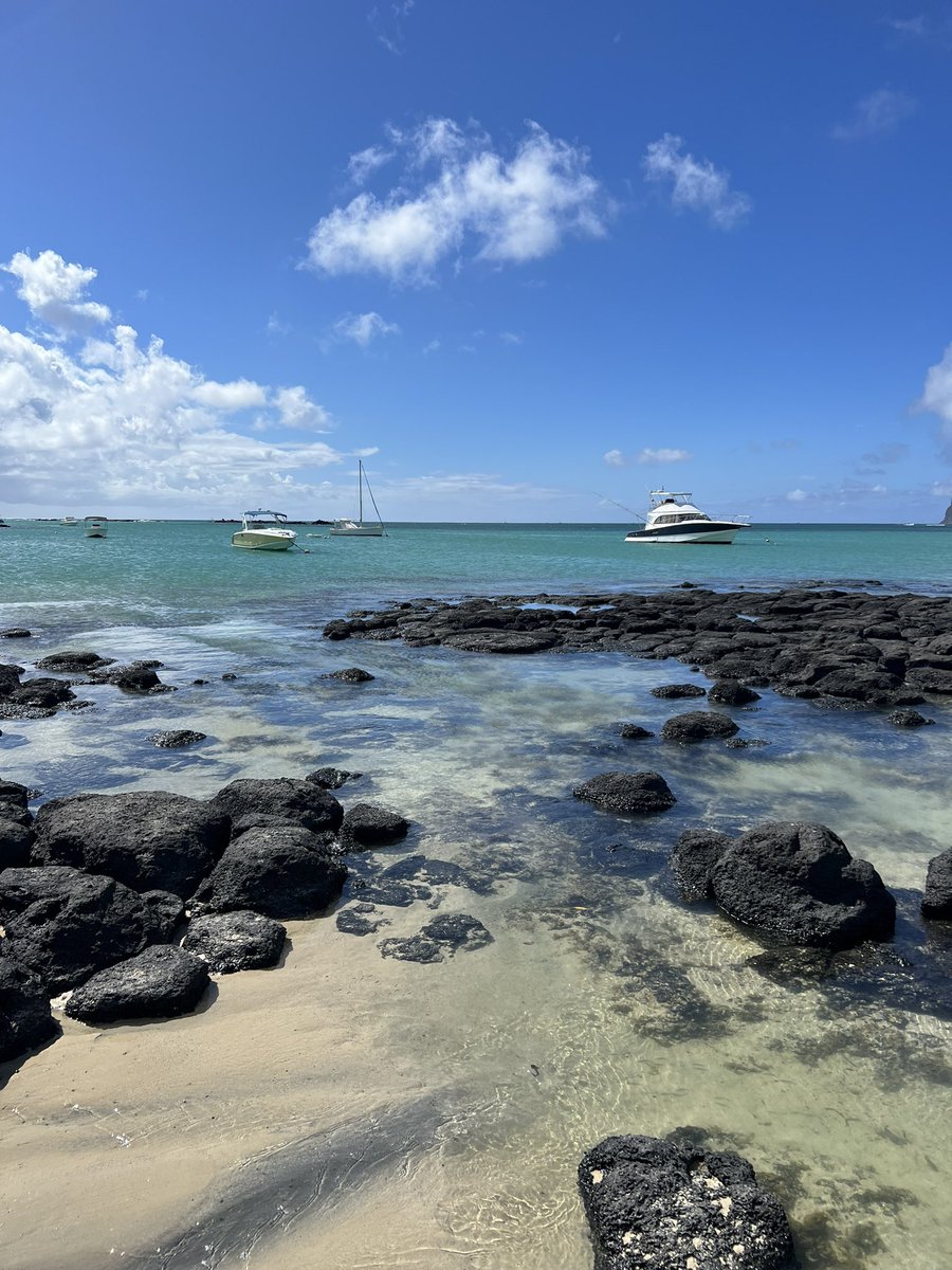 lzelola's tweet photo. feb 2023 : Île Maurice https://t.co/hBJn4SLJL0