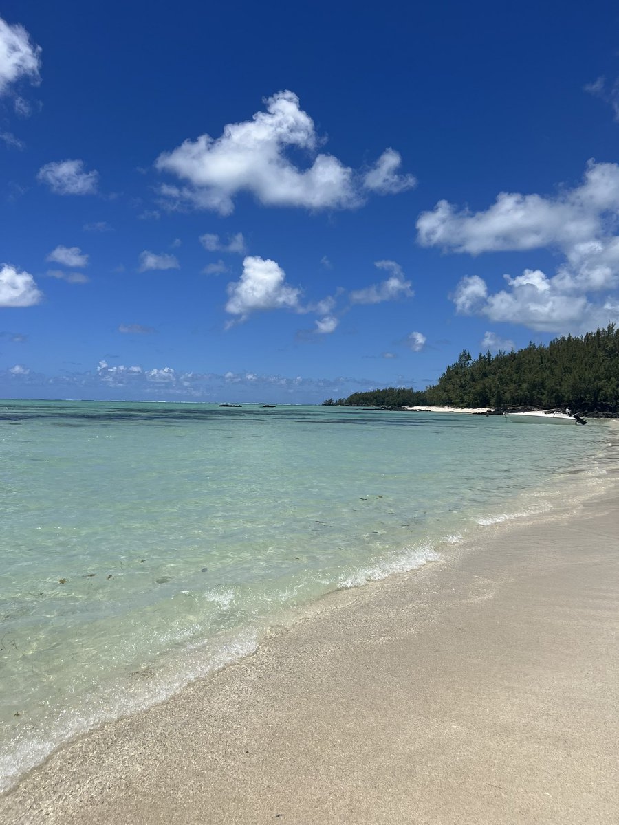 lzelola's tweet photo. feb 2023 : Île Maurice https://t.co/hBJn4SLJL0