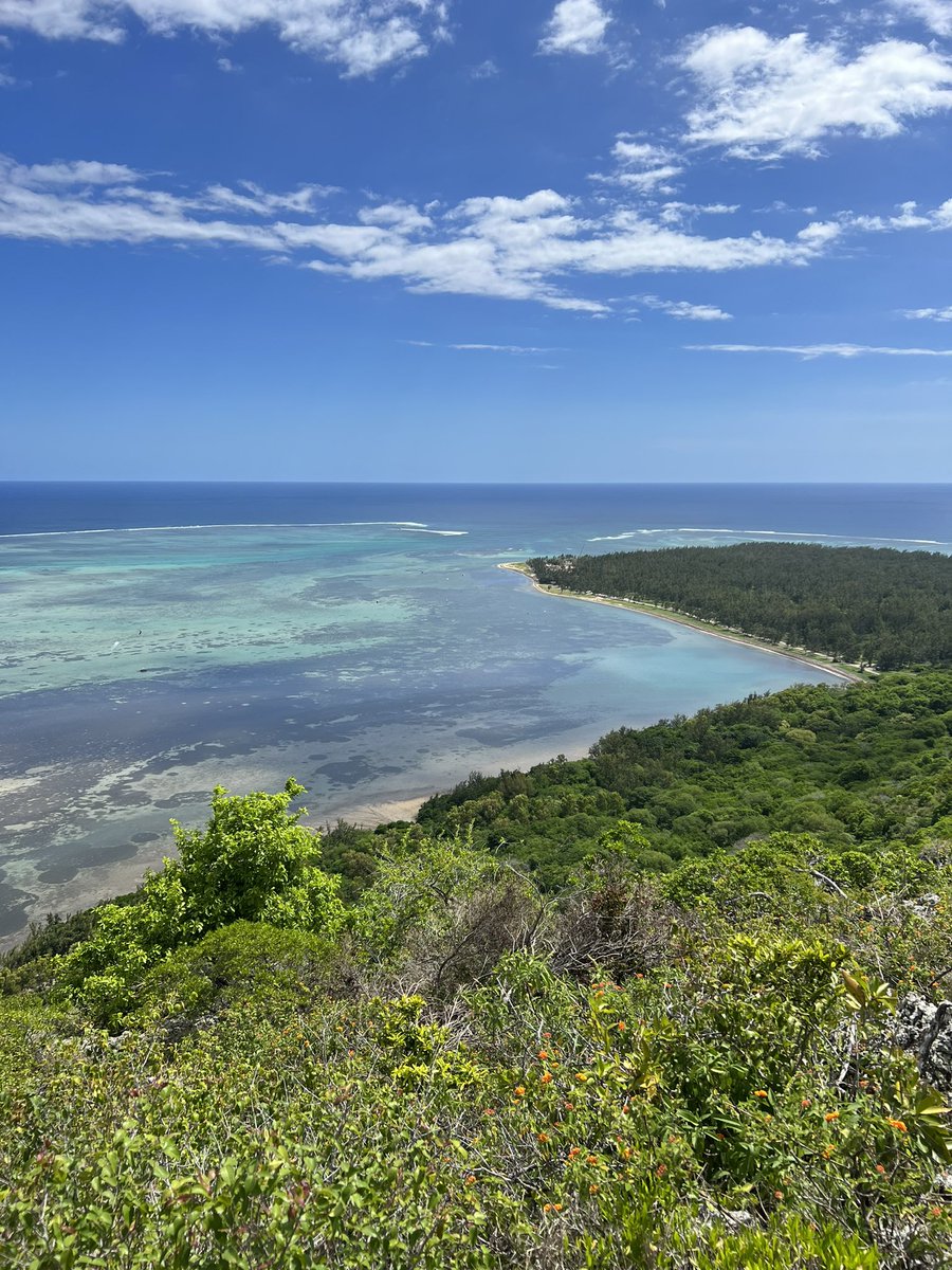 lzelola's tweet photo. feb 2023 : Île Maurice https://t.co/hBJn4SLJL0