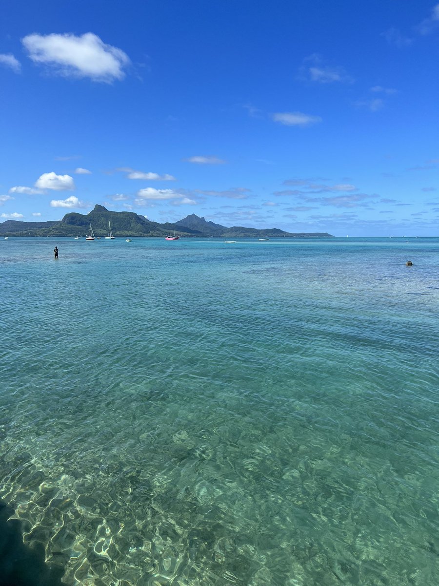 lzelola's tweet photo. feb 2023 : Île Maurice https://t.co/hBJn4SLJL0