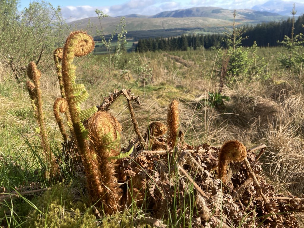 drspjohnson1's tweet photo. Day 1: 29 miles Helensburgh to Strathblane https://t.co/FvlW6U8Zms