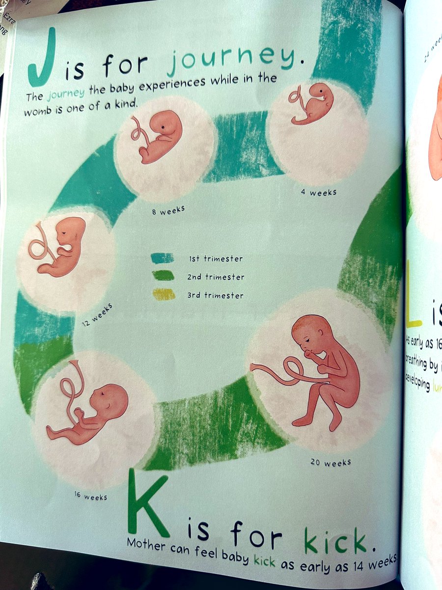 Here’s a great book for kids if you want to teach them about life in the womb while also teaching them their ABC’s 
#Moms @Prolife_Sam 
#ProLife #BooksWorthReading #KidBooks