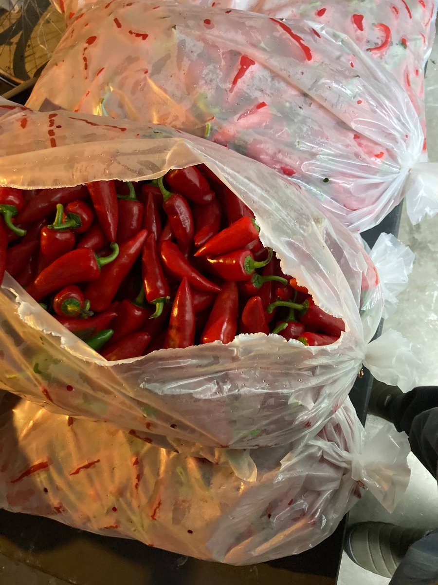 Brattleboro Brewer’s Festival tweet media