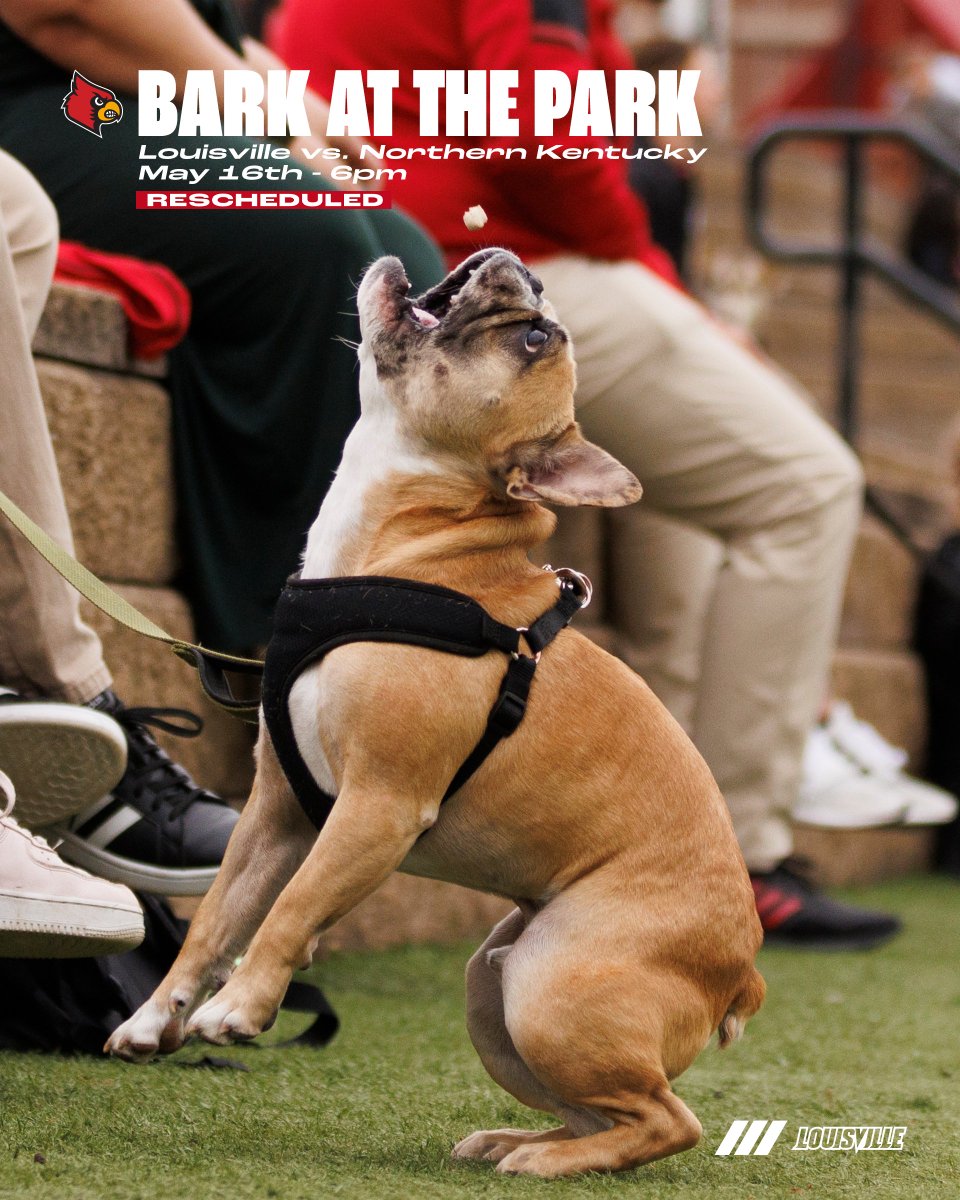 Louisville Baseball on Twitter "Back home. 🐶 Bark in the Park 🎟️ FREE