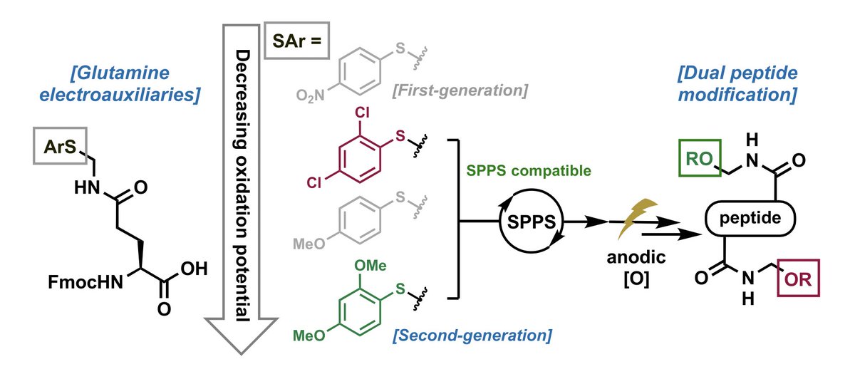 Congratulations to PhD student Dhanya @kpdhanya95, whose latest work on second-generation ⚡️electroactive amino acids⚡️came out this morning in Org Lett @JOC_OL! A great @ARC_CIPPS and @ANUChemistry effort together with @LukeConnal! Check it out here: pubs.acs.org/doi/full/10.10…